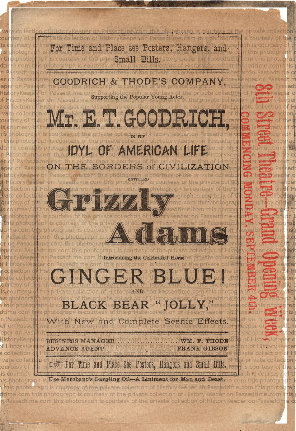 Grizzly Adams 1w