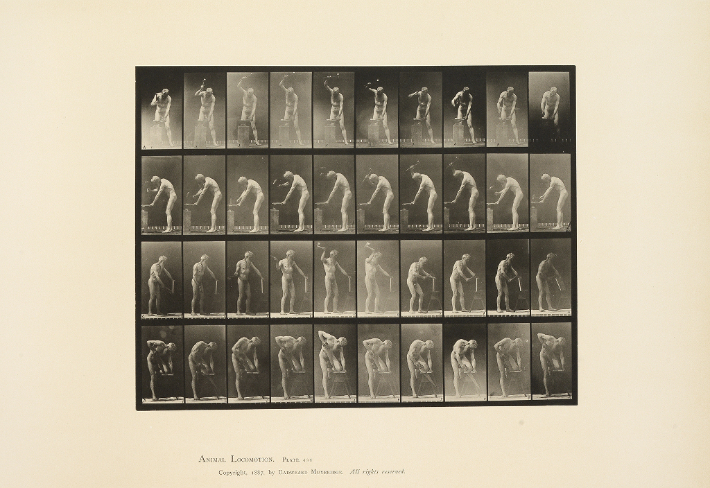 13 Muybridges